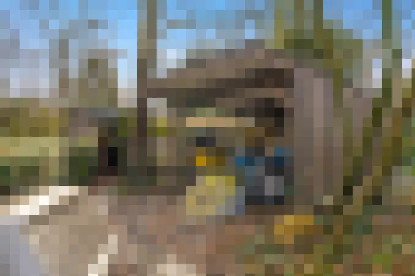 Runselstraat 10 Berghem thumbnail 37