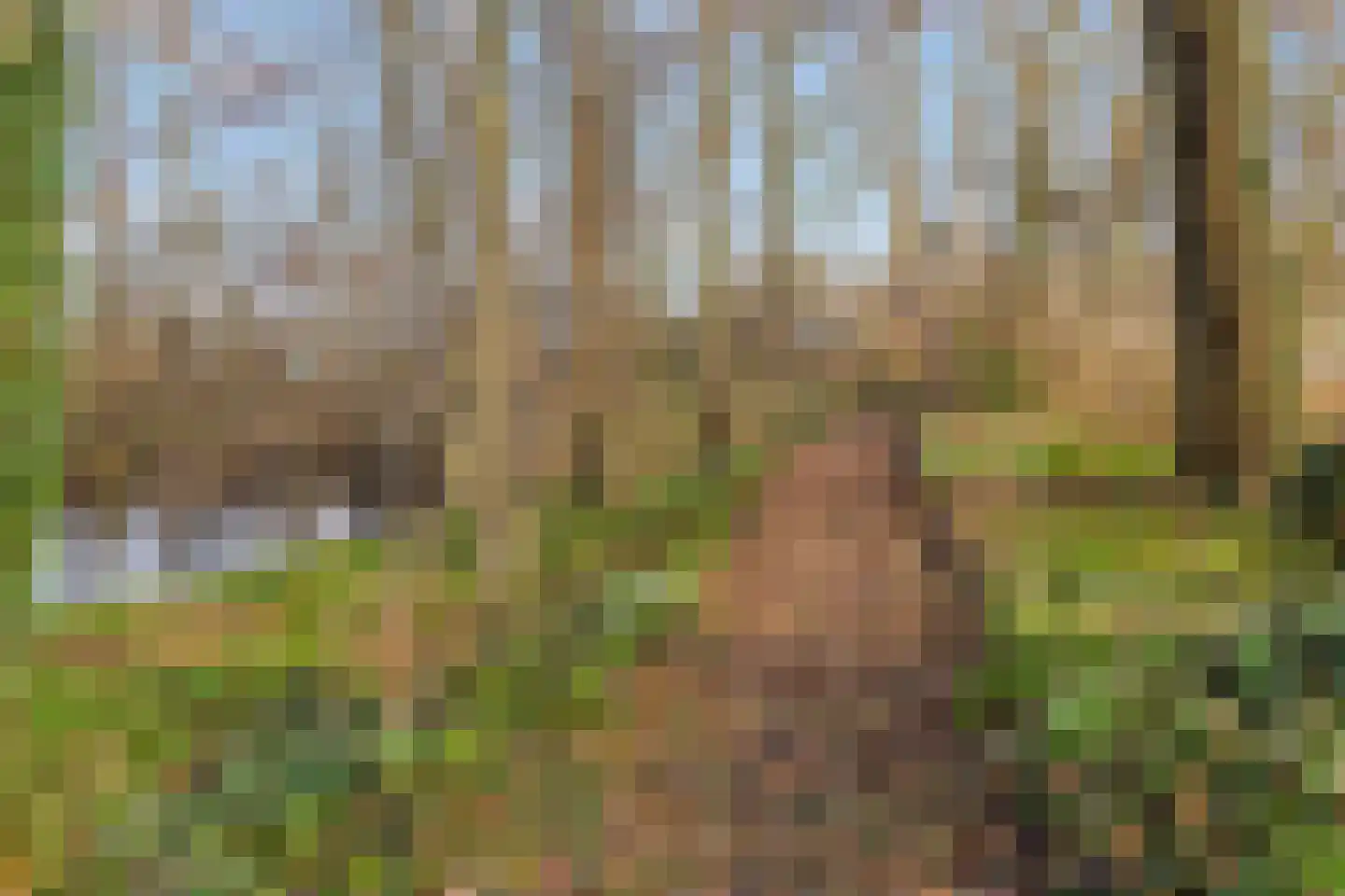 Runselstraat 10 Berghem thumbnail 38