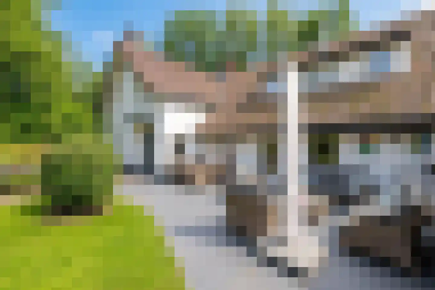 Runselstraat 10 Berghem thumbnail 39