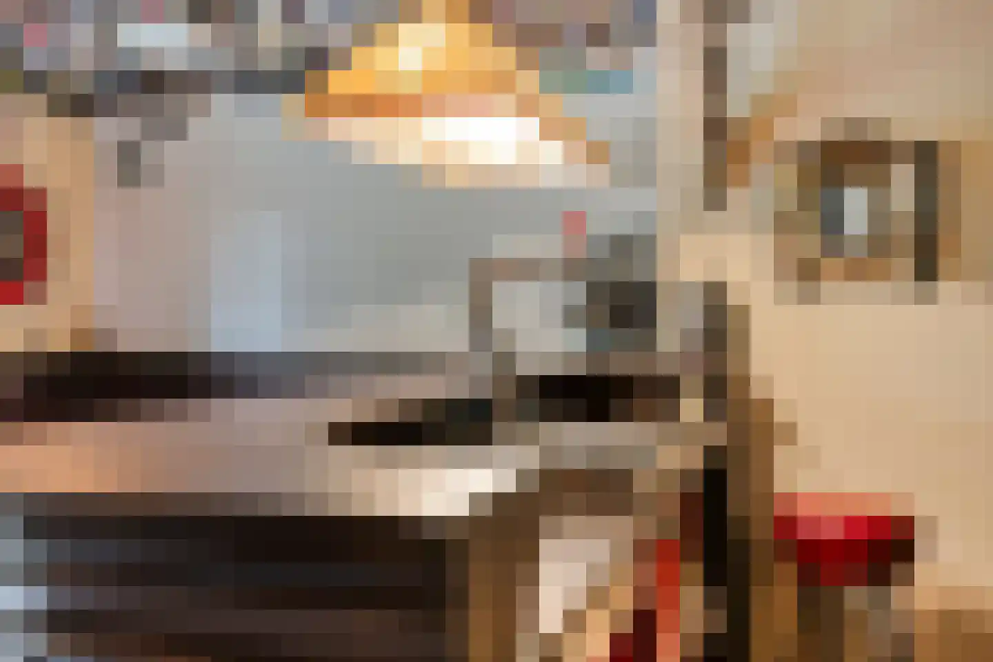 Runselstraat 10 Berghem thumbnail 41