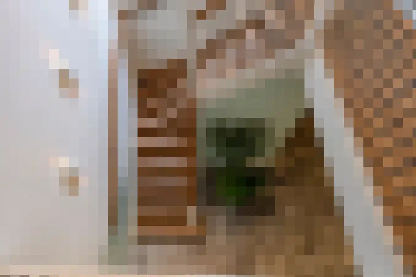 Runselstraat 10 Berghem thumbnail 47