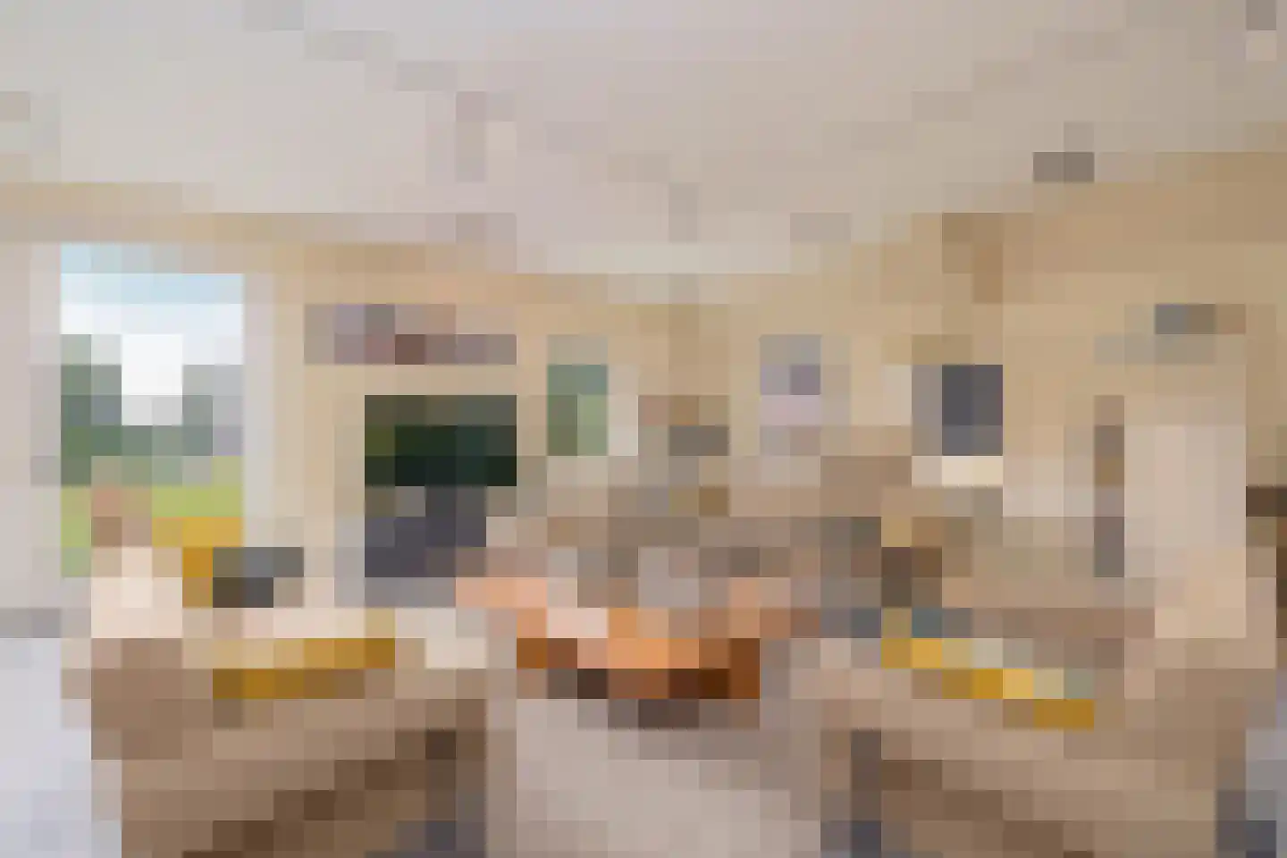 Runselstraat 10 Berghem thumbnail 5