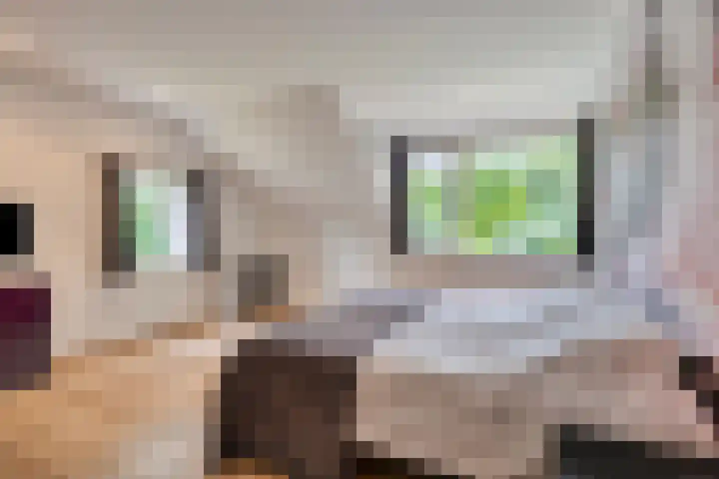 Runselstraat 10 Berghem thumbnail 50