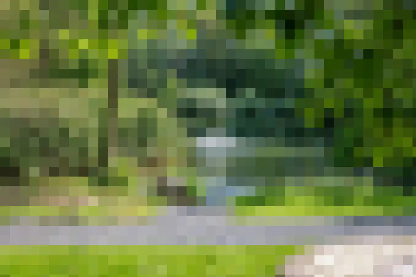 Runselstraat 10 Berghem thumbnail 50