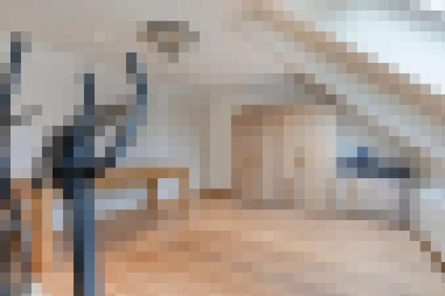 Runselstraat 10 Berghem thumbnail 61