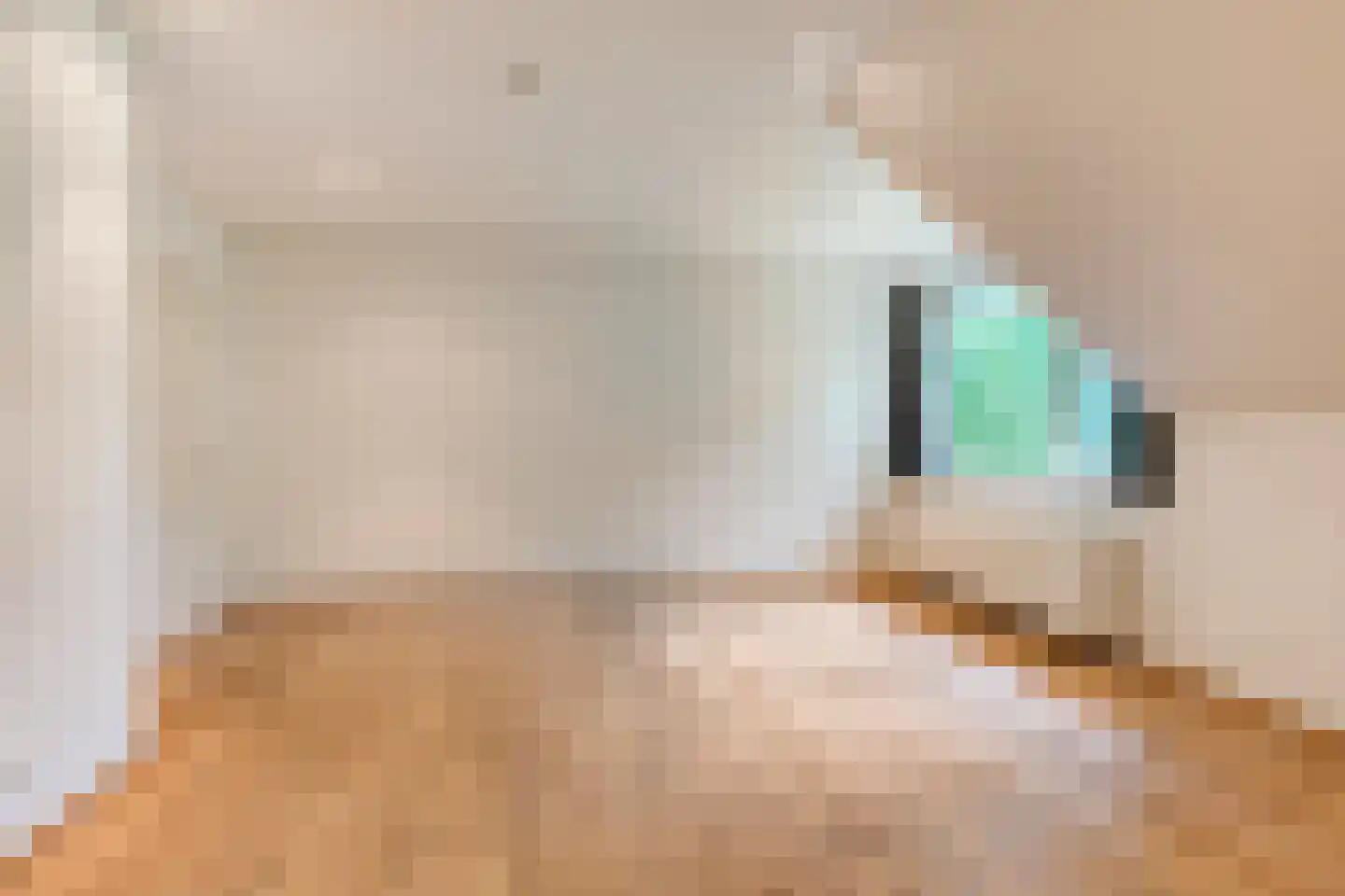 Runselstraat 10 Berghem thumbnail 63