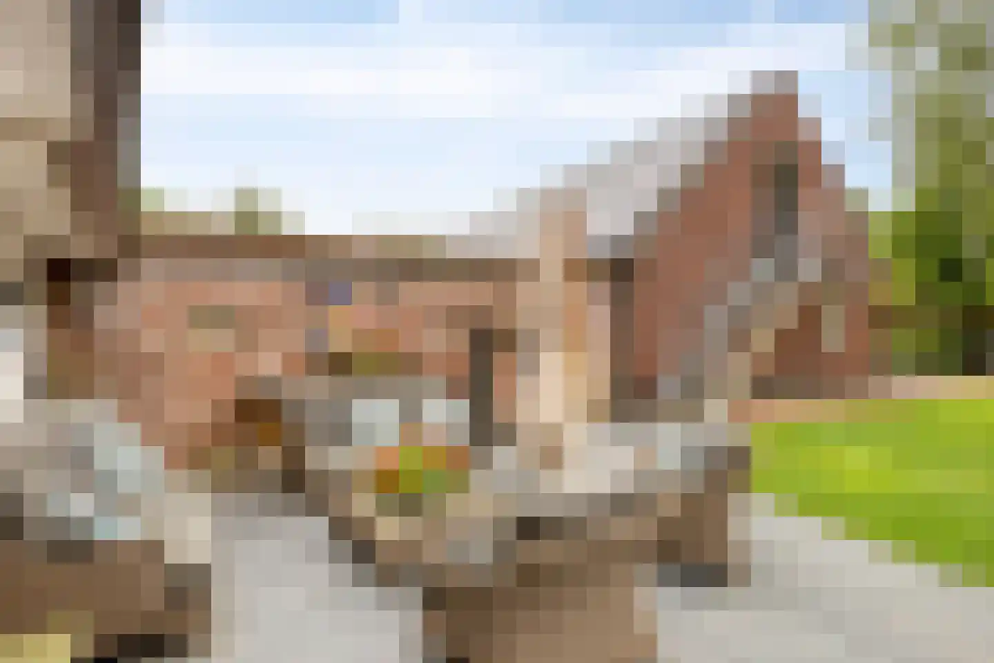 Runselstraat 10 Berghem thumbnail 65