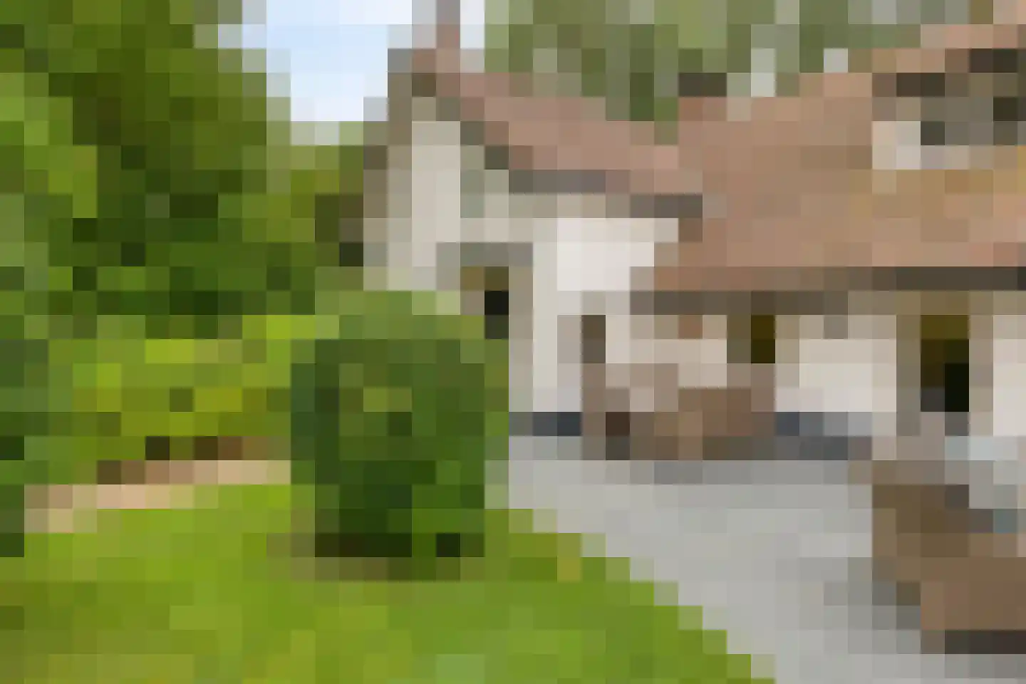 Runselstraat 10 Berghem thumbnail 67