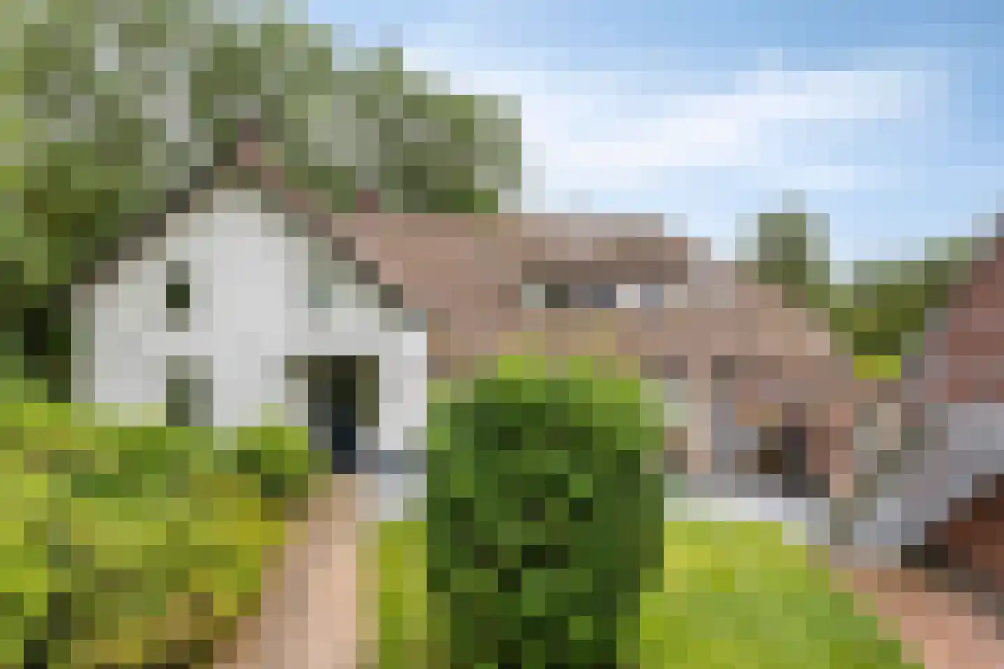 Runselstraat 10 Berghem thumbnail 68