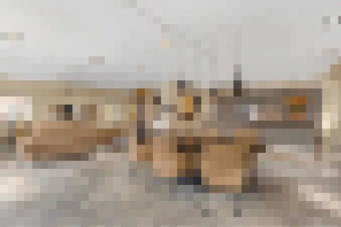 Runselstraat 10 Berghem thumbnail 7