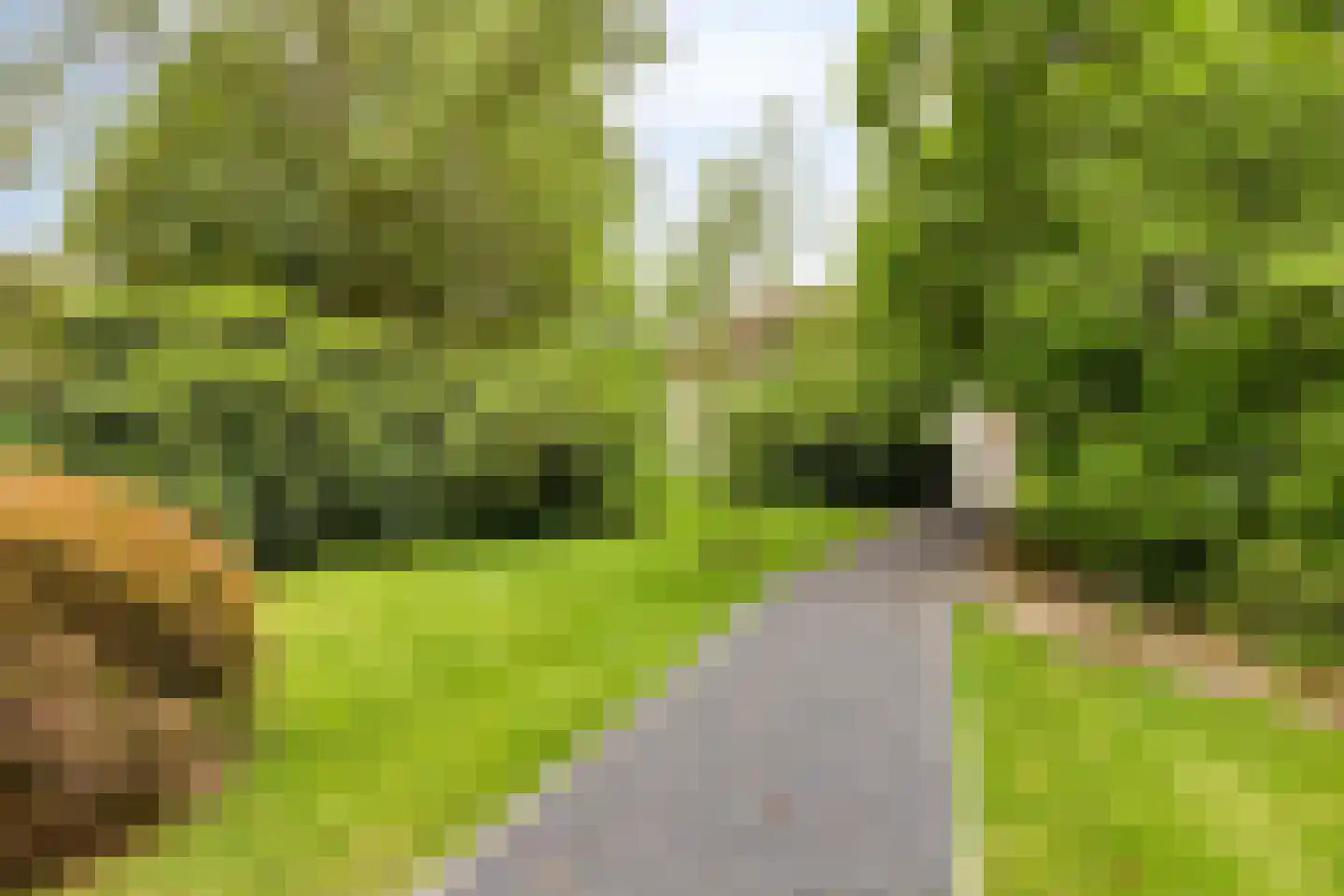 Runselstraat 10 Berghem thumbnail 72
