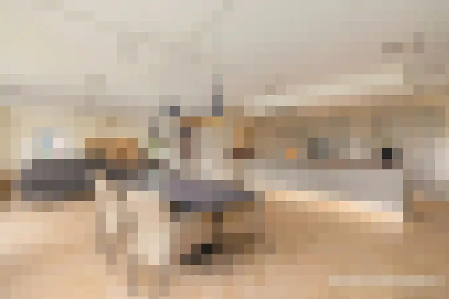 Runselstraat 10 Berghem thumbnail 8