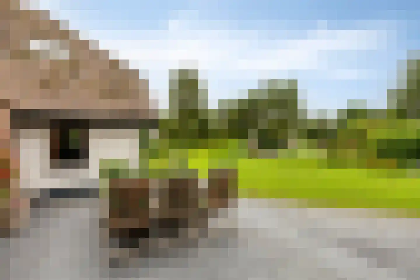 Runselstraat 10 Berghem thumbnail 82