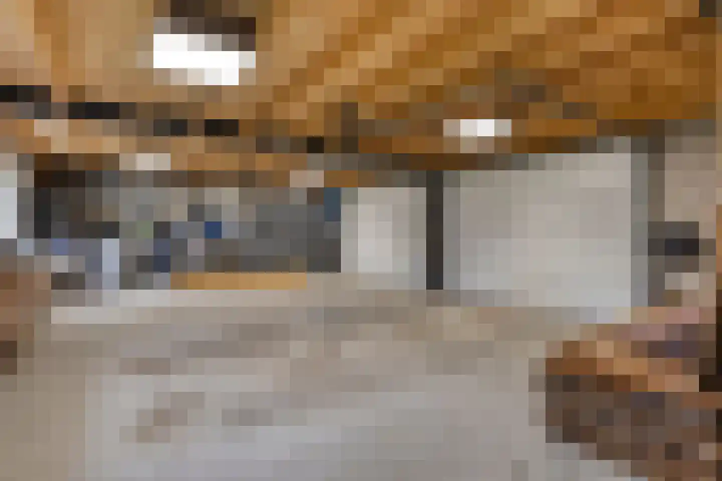 Runselstraat 10 Berghem thumbnail 90