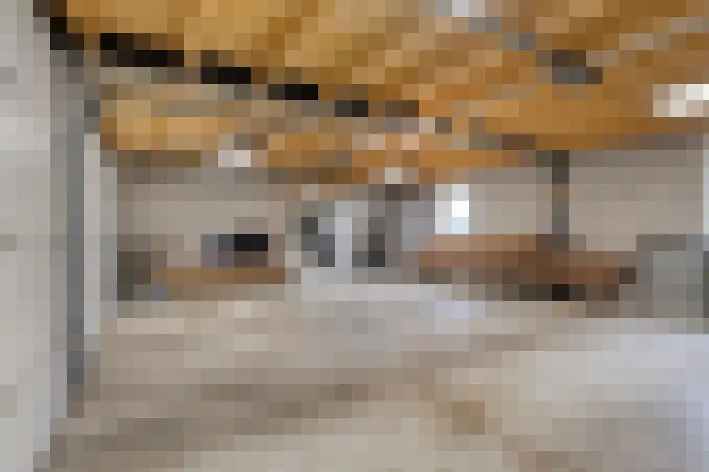 Runselstraat 10 Berghem thumbnail 91