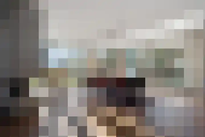 Runselstraat 3 Berghem thumbnail 13