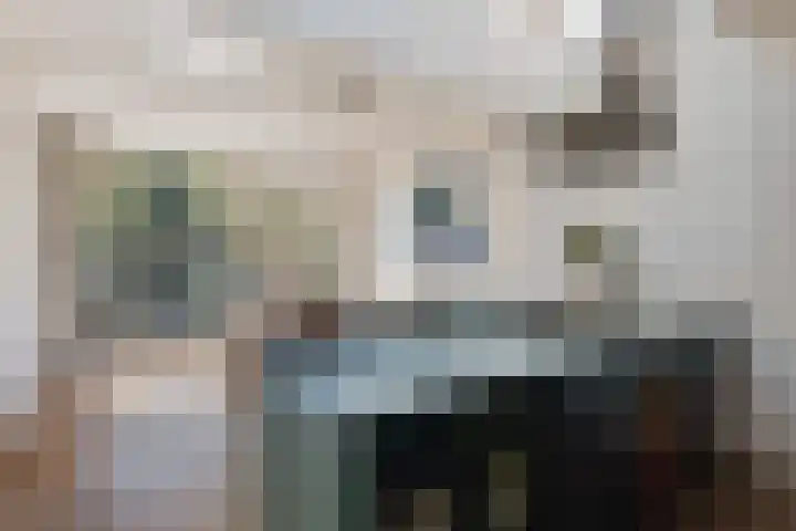 Runselstraat 3 Berghem thumbnail 19