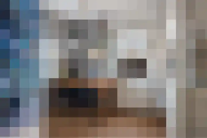 Runselstraat 3 Berghem thumbnail 28