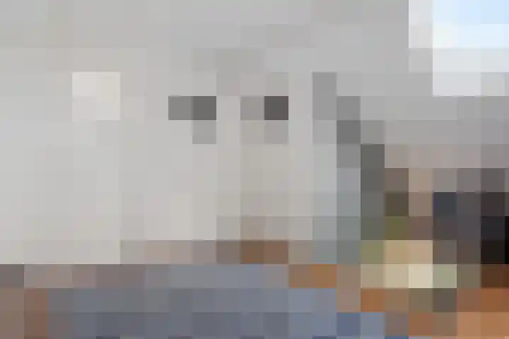 Runselstraat 3 Berghem thumbnail 30