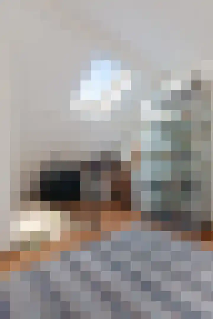 Runselstraat 3 Berghem thumbnail 31