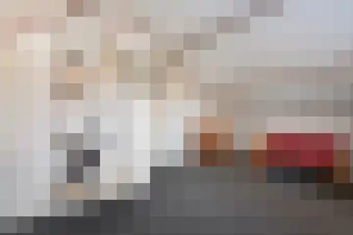 Runselstraat 3 Berghem thumbnail 36