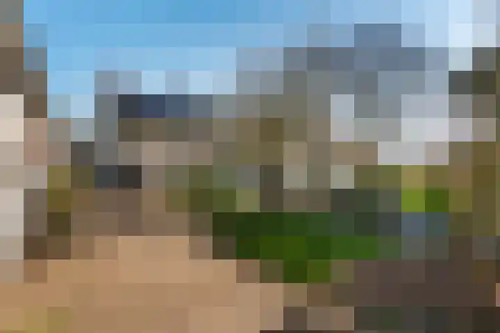 Runselstraat 3 Berghem thumbnail 38