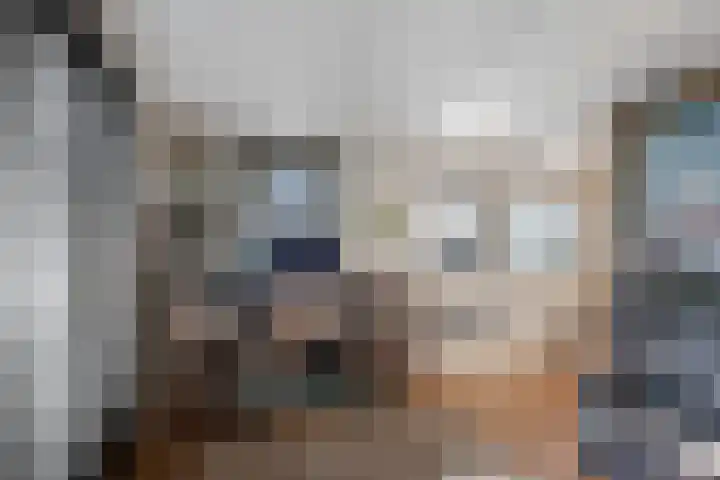 Runselstraat 3 Berghem thumbnail 40