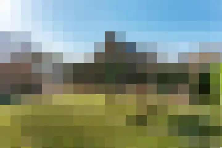 Runselstraat 3 Berghem thumbnail 46