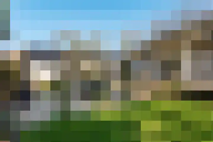 Runselstraat 3 Berghem thumbnail 47