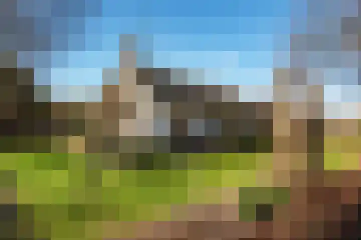 Runselstraat 3 Berghem thumbnail 5