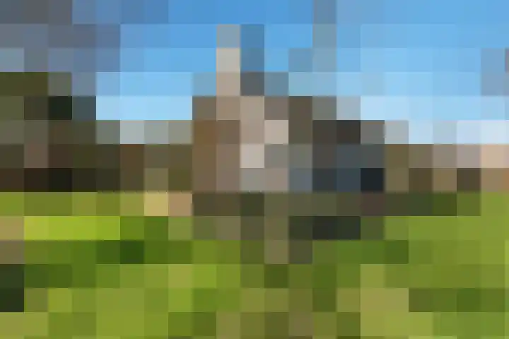 Runselstraat 3 Berghem thumbnail 50