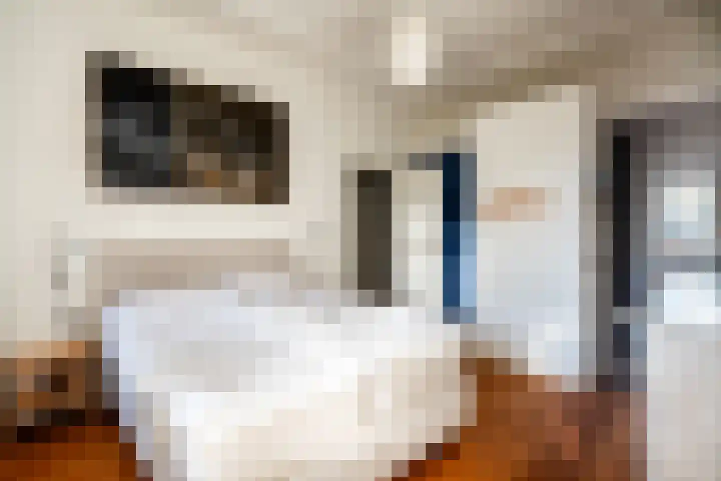 Runstraat 11 1 Amsterdam thumbnail 16