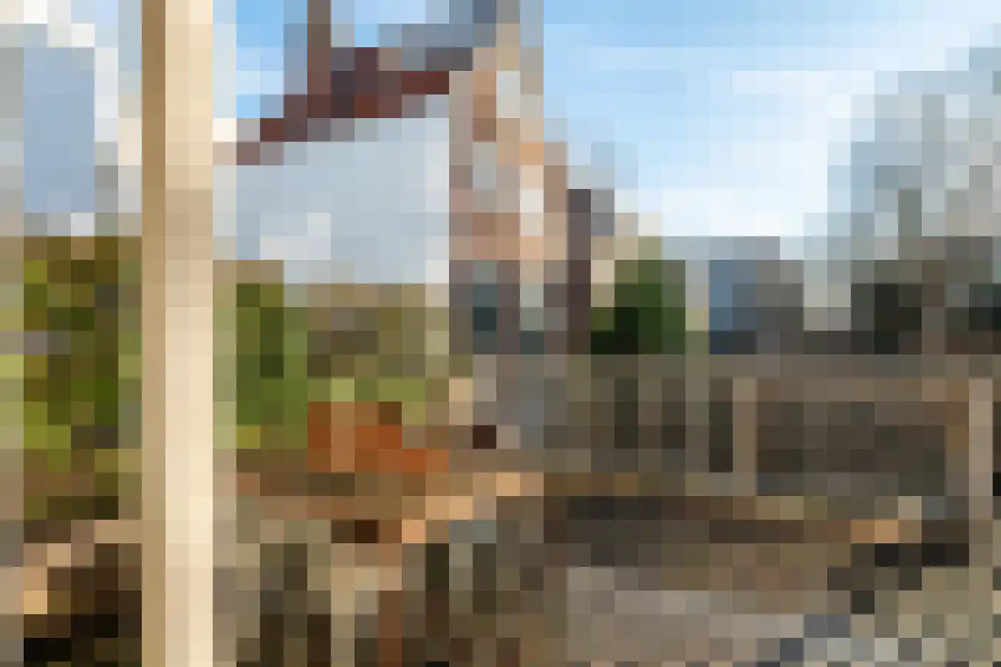 Runstraat 11 1 Amsterdam thumbnail 21