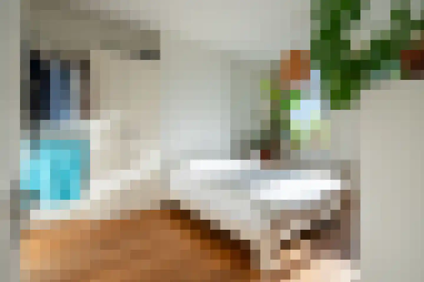 Runstraat 11 1 Amsterdam thumbnail 31
