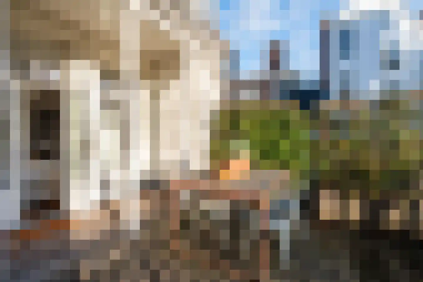 Runstraat 11 2 Amsterdam thumbnail 20