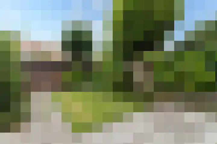 Runstraat 14 Utrecht thumbnail 19