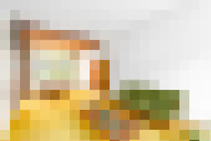 Runstraat 14 Utrecht thumbnail 5