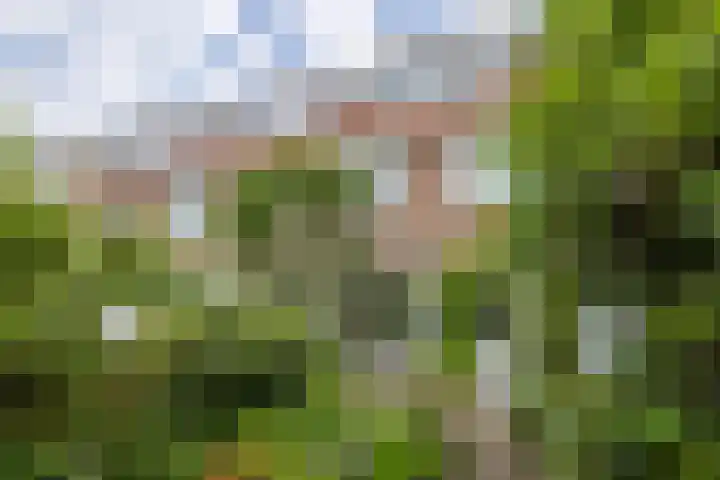 Runstraat 16 Utrecht thumbnail 21