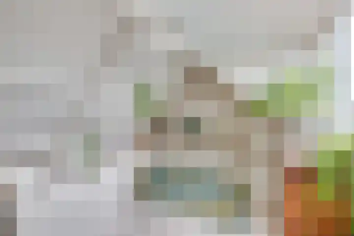 Runstraat 16 Utrecht thumbnail 34