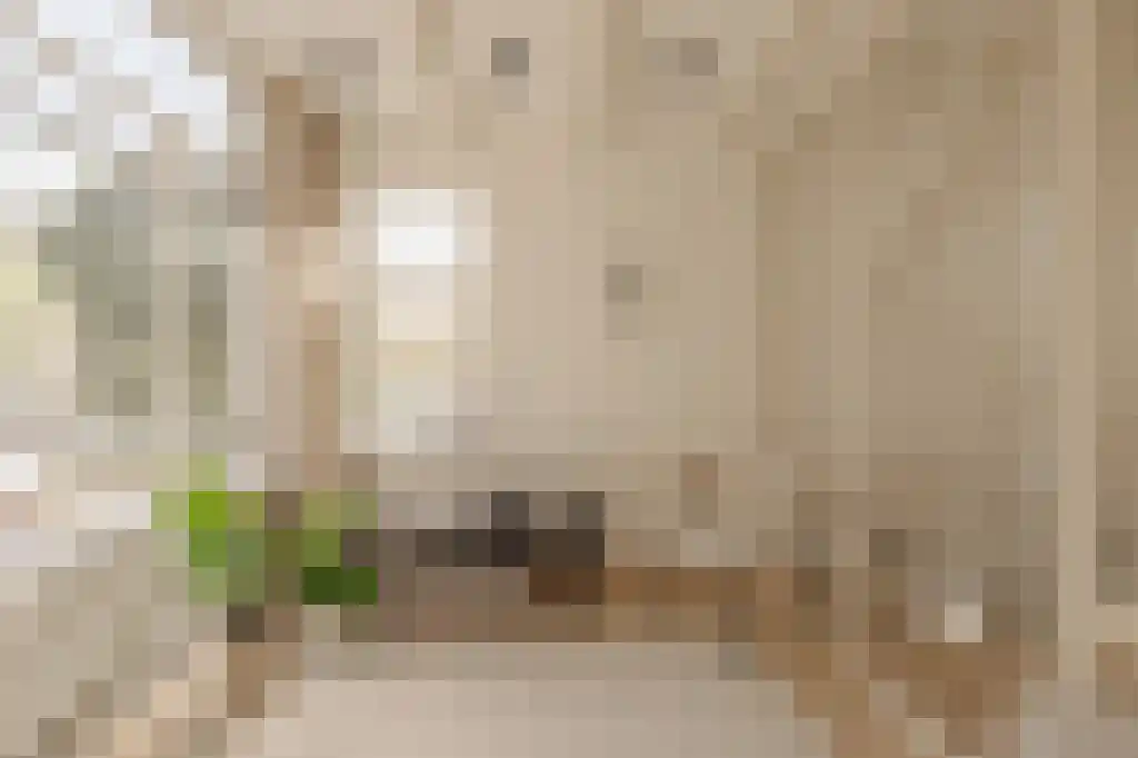 Runstraat 2 Amsterdam thumbnail 4