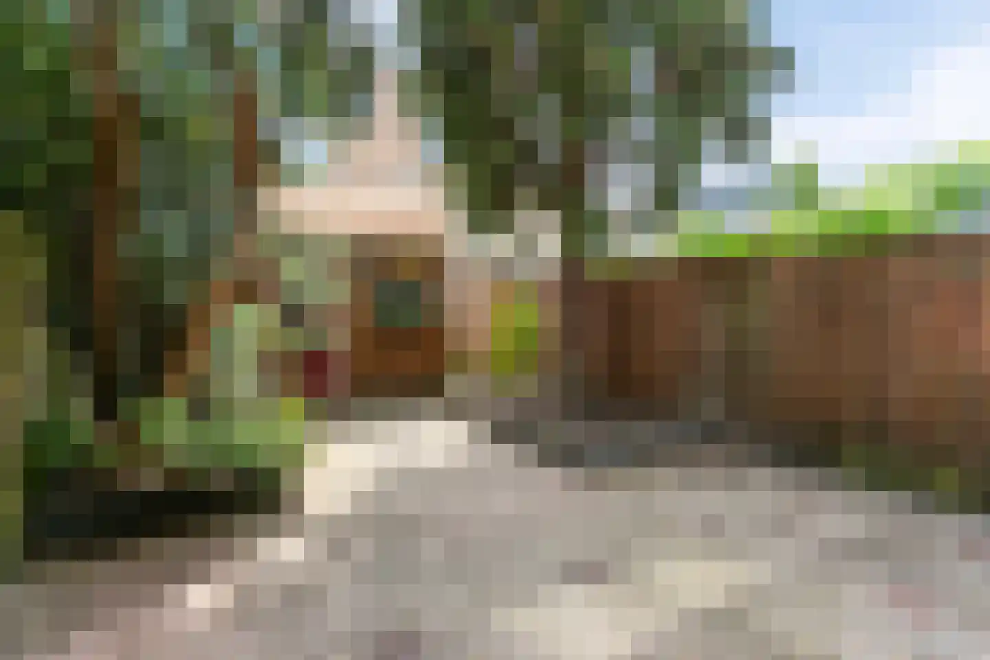 Runstraat 26 Utrecht thumbnail 19