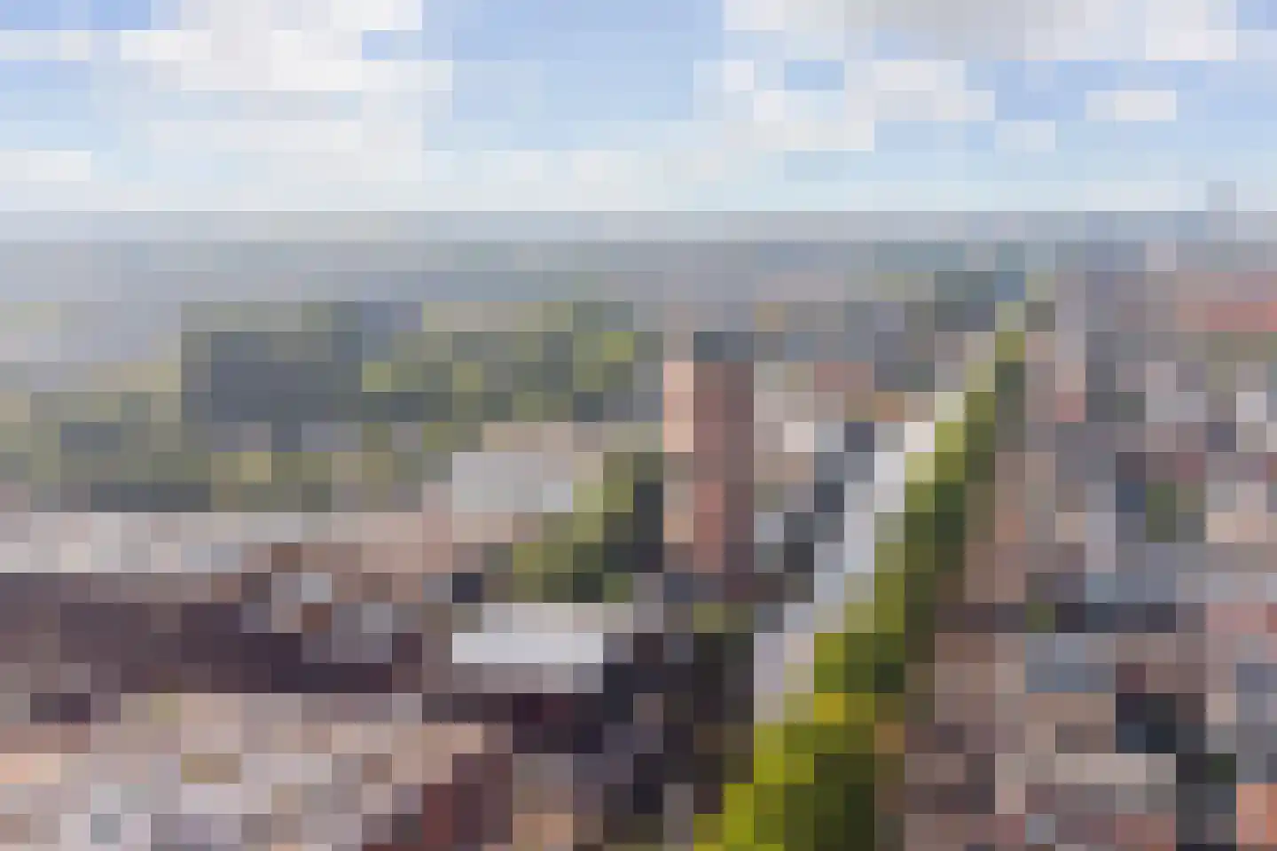 Runstraat 26 Utrecht thumbnail 42