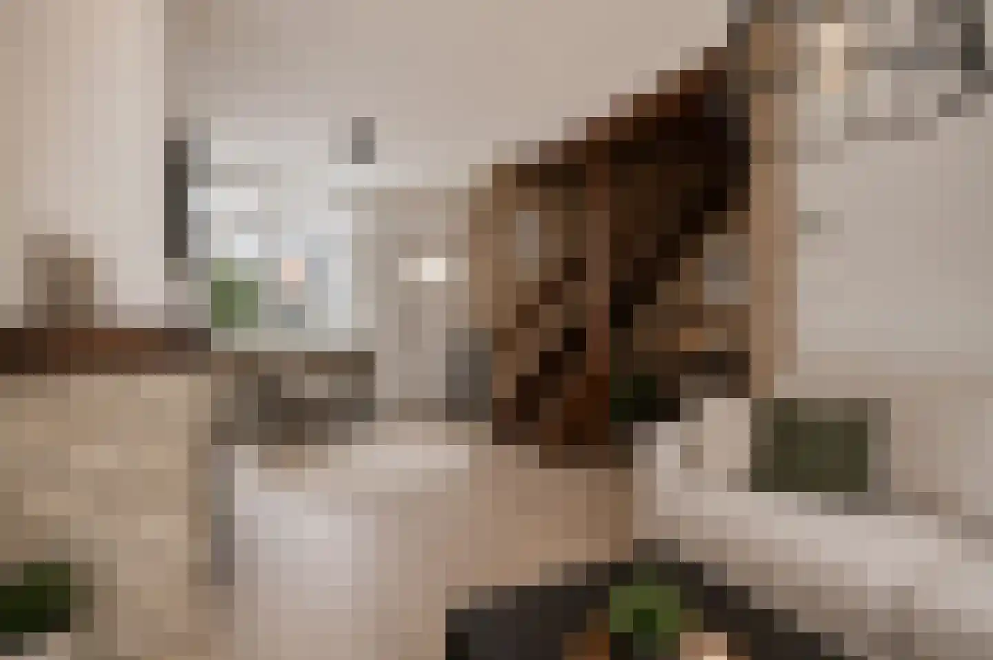 Runstraat 31 Eindhoven thumbnail 10