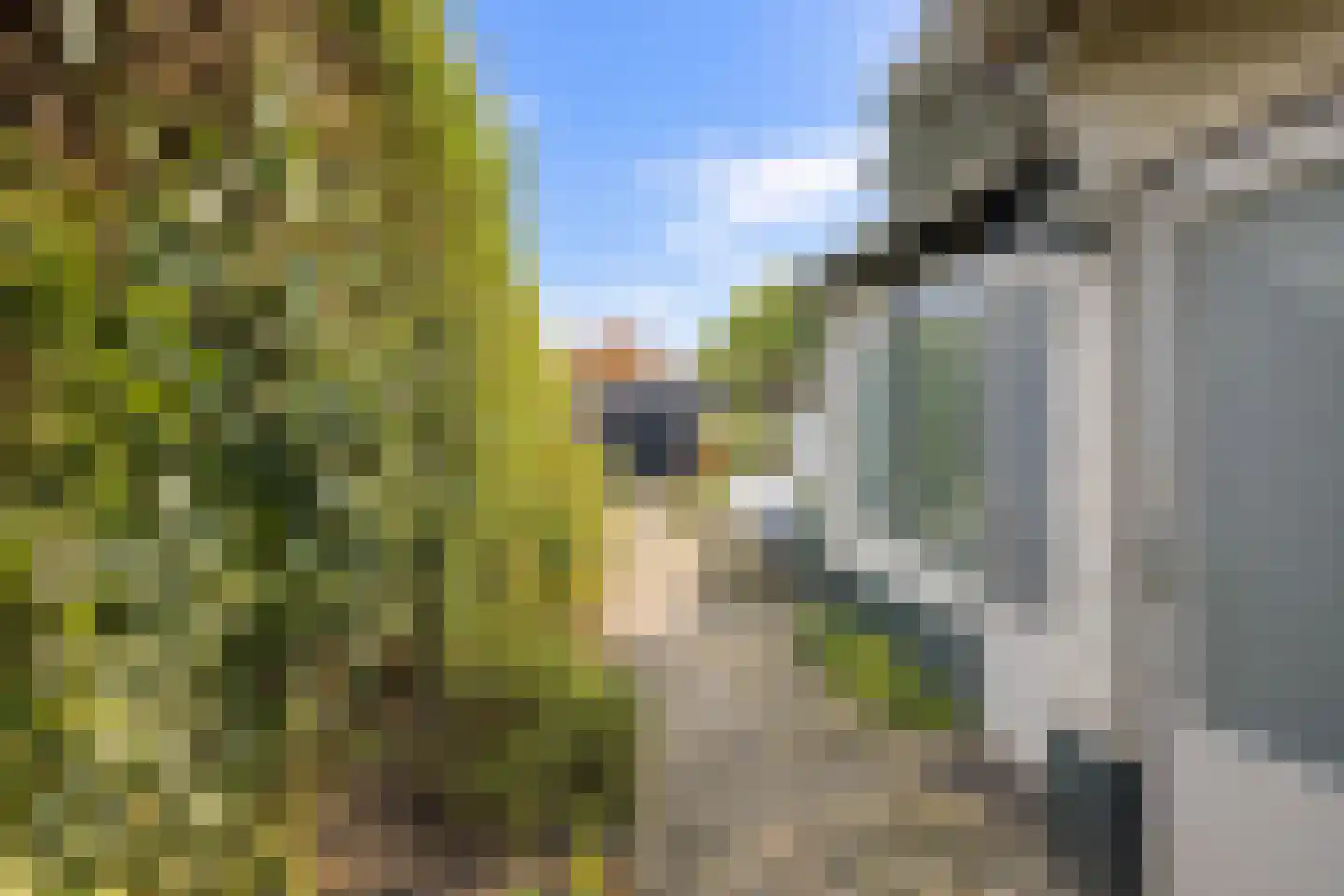 Runstraat 31 Eindhoven thumbnail 24