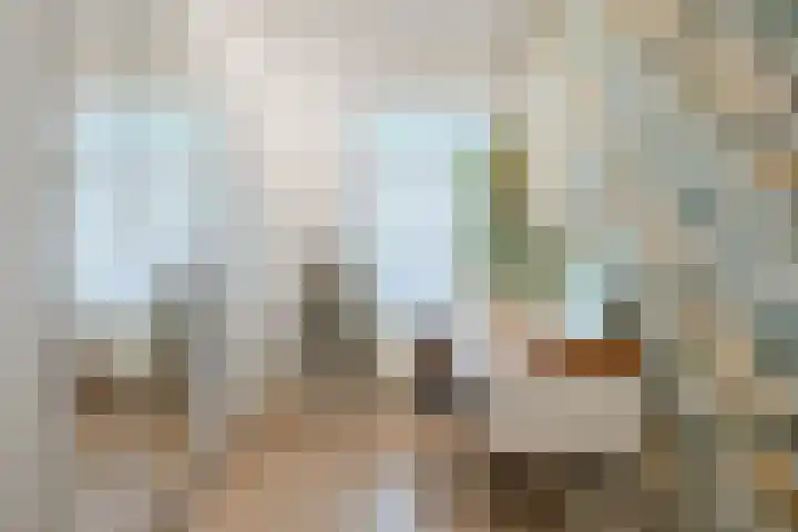 Runstraat 39 Eindhoven thumbnail 23