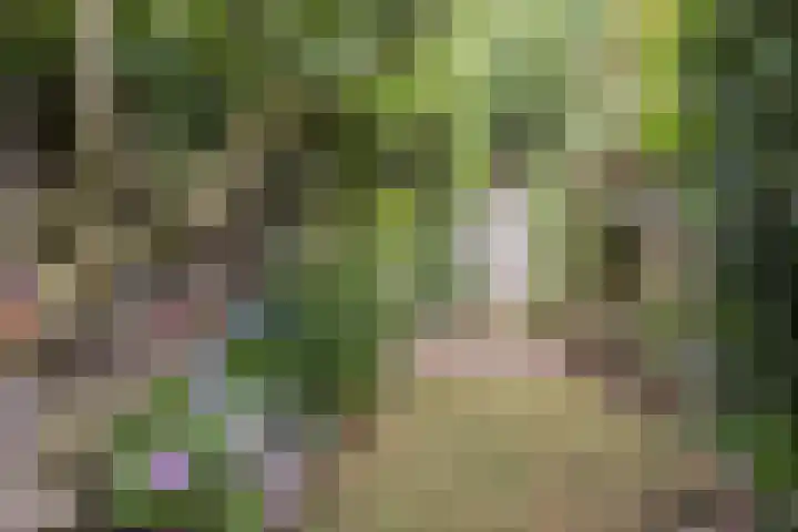 Runstraat 39 Eindhoven thumbnail 37