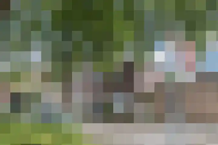 Runstraat 39 Eindhoven thumbnail 6