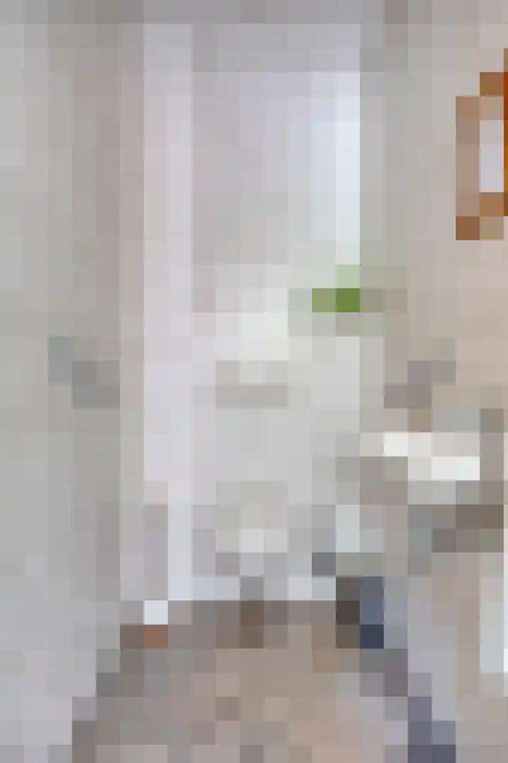 Runstraat 64 a Schaijk thumbnail 14