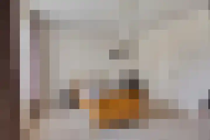 Runstraat 64 a Schaijk thumbnail 15