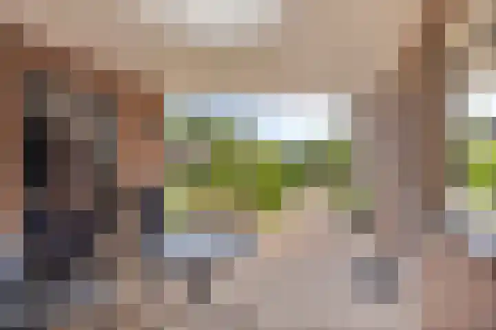 Runstraat 64 a Schaijk thumbnail 35
